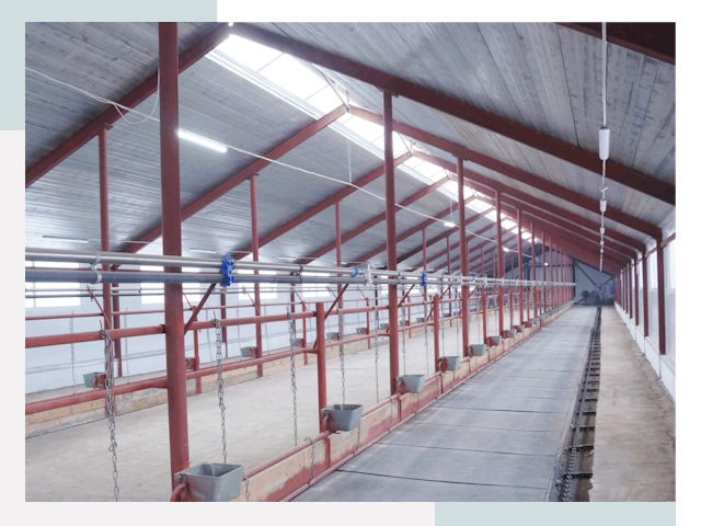 Строительство коровников в Архангельске от 617 руб.