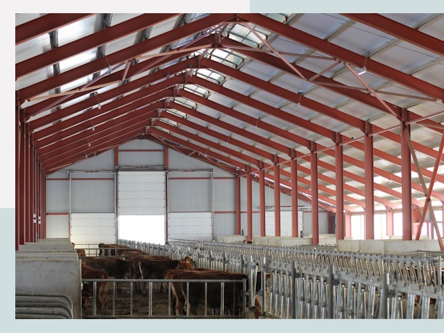 Строительство коровников в Архангельске