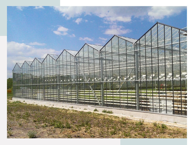 Строительство теплиц в Архангельск от 617 руб. за м²